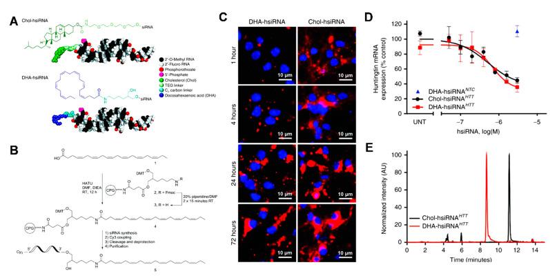 https://cdn.ncbi.nlm.nih.gov/pmc/blobs/2c3c/7999733/2da136026624/cells-10-00641-g003.jpg