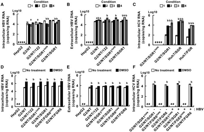 https://cdn.ncbi.nlm.nih.gov/pmc/blobs/2c3d/8034569/01b3a04628ad/HEP4-5-634-g004.jpg