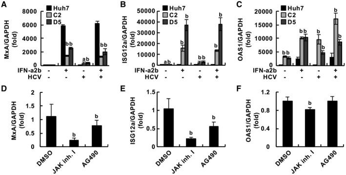 https://cdn.ncbi.nlm.nih.gov/pmc/blobs/2c3d/8034569/3b7fb27d7007/HEP4-5-634-g005.jpg