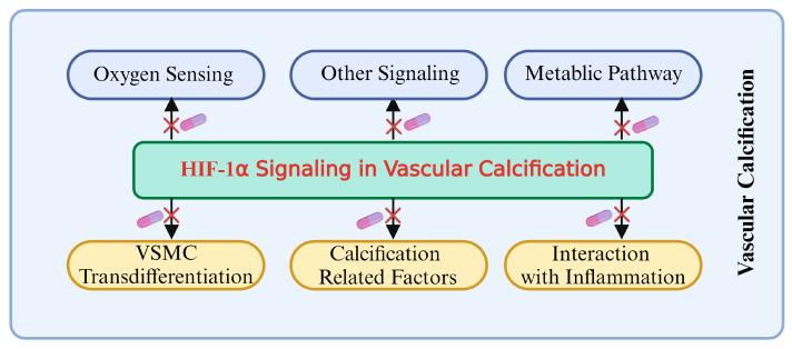 https://cdn.ncbi.nlm.nih.gov/pmc/blobs/2c3e/11674127/27c7276c1ef5/biomolecules-14-01592-g009.jpg