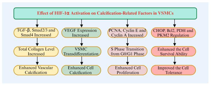 https://cdn.ncbi.nlm.nih.gov/pmc/blobs/2c3e/11674127/2d3749600fa0/biomolecules-14-01592-g004.jpg