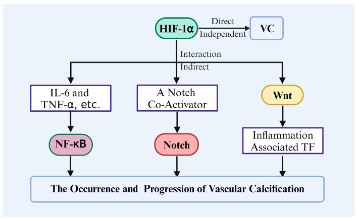 https://cdn.ncbi.nlm.nih.gov/pmc/blobs/2c3e/11674127/3142da386f81/biomolecules-14-01592-g008.jpg