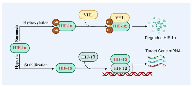 https://cdn.ncbi.nlm.nih.gov/pmc/blobs/2c3e/11674127/45f48cf8cef1/biomolecules-14-01592-g001.jpg