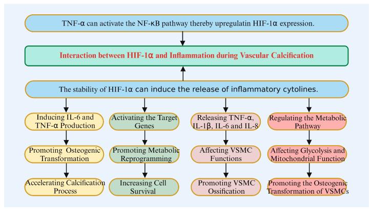 https://cdn.ncbi.nlm.nih.gov/pmc/blobs/2c3e/11674127/7563dbbe78c5/biomolecules-14-01592-g005.jpg