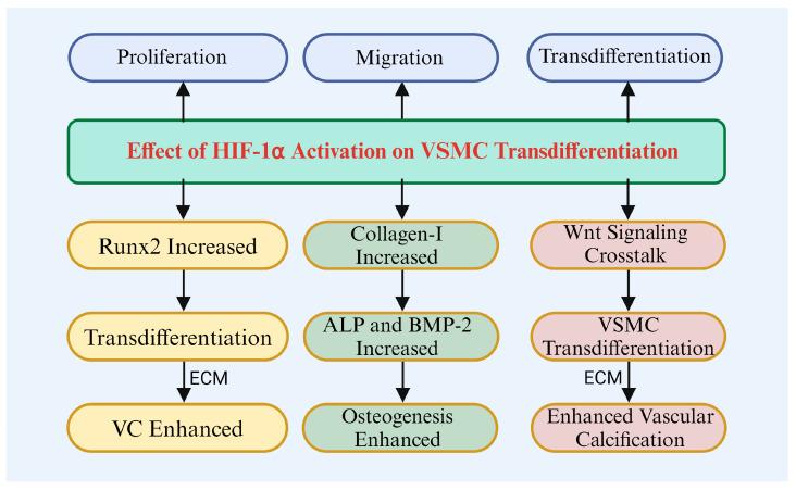 https://cdn.ncbi.nlm.nih.gov/pmc/blobs/2c3e/11674127/8aea68624342/biomolecules-14-01592-g003.jpg