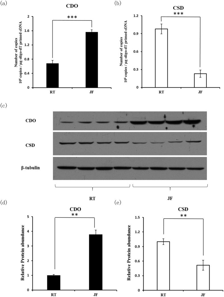 https://cdn.ncbi.nlm.nih.gov/pmc/blobs/2c3f/4754659/815c0b7c3875/srep21231-f4.jpg
