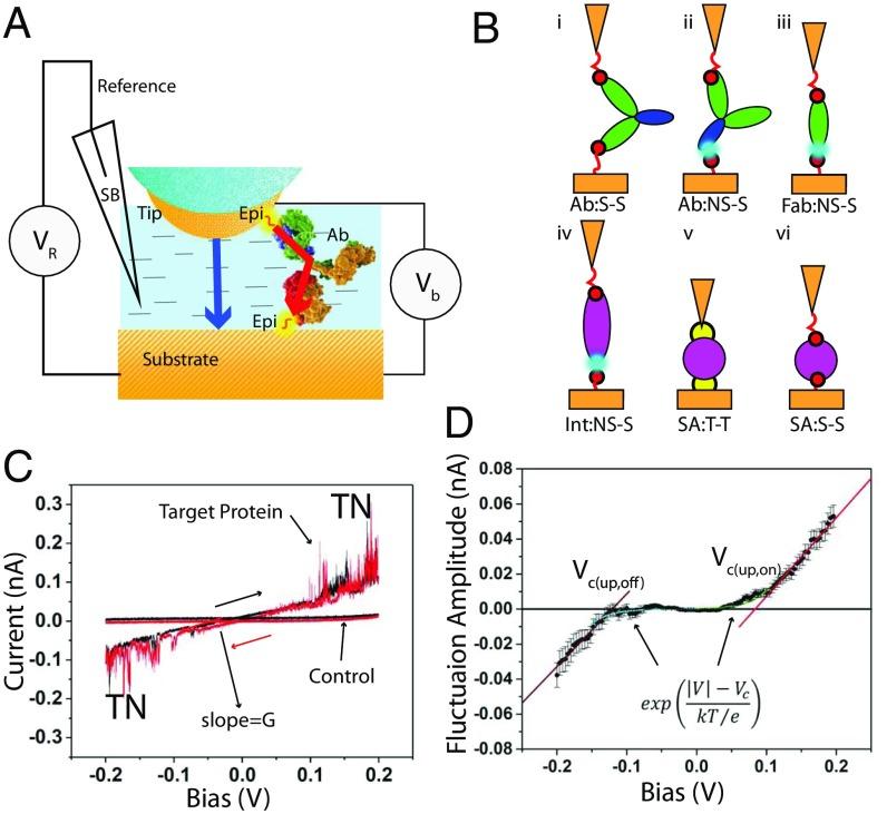 https://cdn.ncbi.nlm.nih.gov/pmc/blobs/2c41/6442609/cc84532833fe/pnas.1819674116fig01.jpg