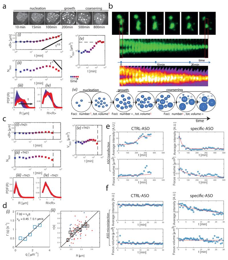 https://cdn.ncbi.nlm.nih.gov/pmc/blobs/2c41/6859070/6f66649547c8/EMS84124-f007.jpg