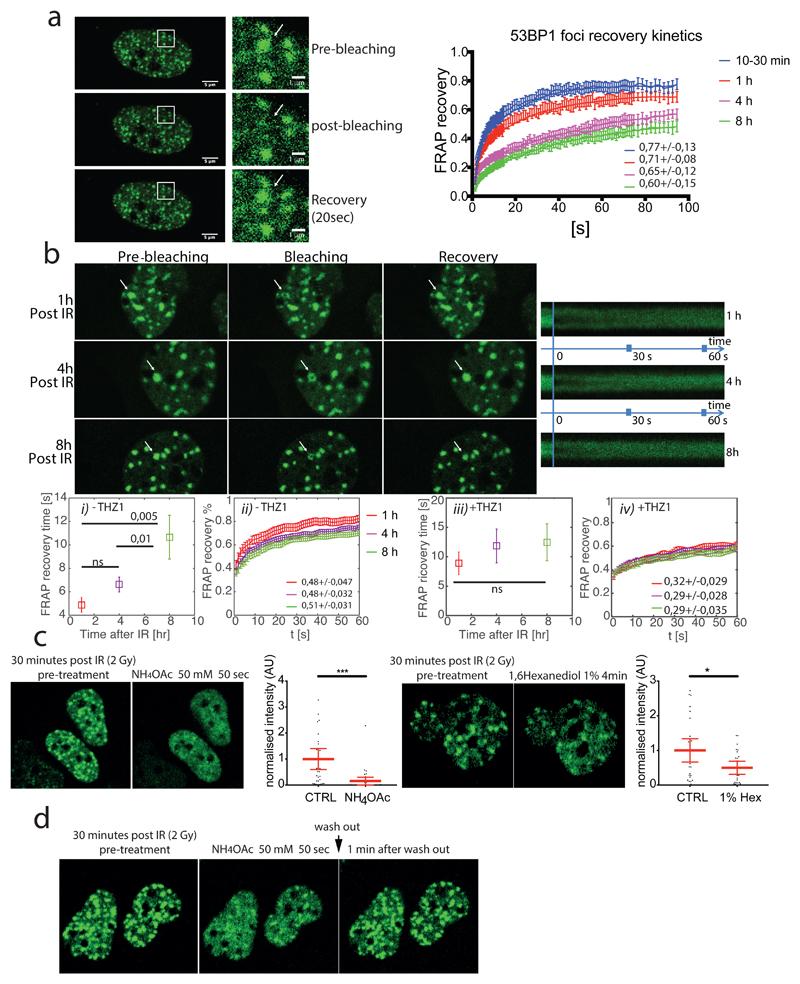 https://cdn.ncbi.nlm.nih.gov/pmc/blobs/2c41/6859070/c1870fa876e2/EMS84124-f006.jpg