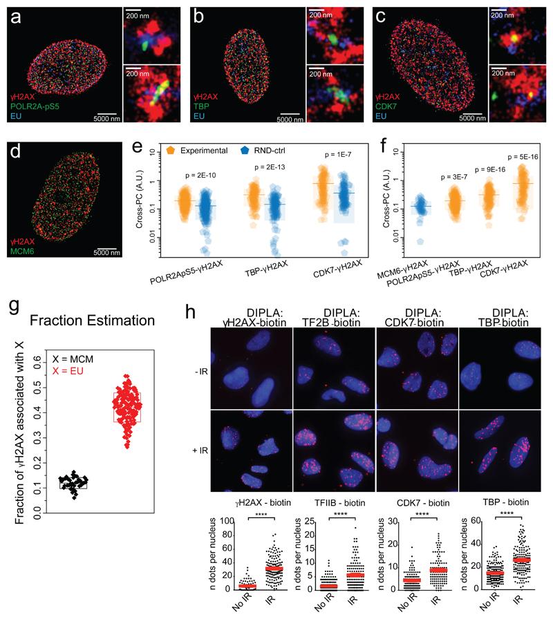 https://cdn.ncbi.nlm.nih.gov/pmc/blobs/2c41/6859070/f42296561497/EMS84124-f002.jpg