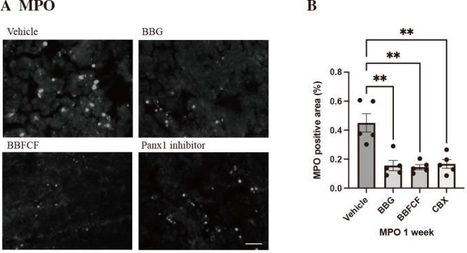 https://cdn.ncbi.nlm.nih.gov/pmc/blobs/2c42/11439608/d1da5de54929/2186-3326-86-0392-g003.jpg