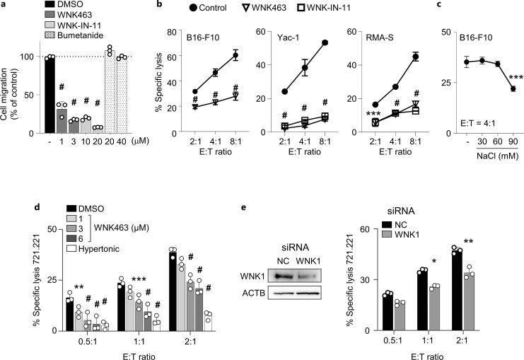 https://cdn.ncbi.nlm.nih.gov/pmc/blobs/2c44/11521464/1041abd685cb/jin-2024-0016-0001-540744_F06.jpg