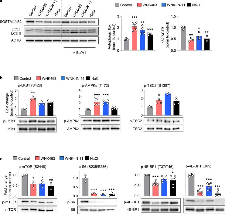 https://cdn.ncbi.nlm.nih.gov/pmc/blobs/2c44/11521464/fead794bc3fa/jin-2024-0016-0001-540744_F02.jpg