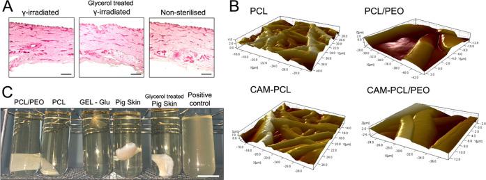 https://cdn.ncbi.nlm.nih.gov/pmc/blobs/2c46/9907351/6a26b1c56abc/mp2c00902_0003.jpg