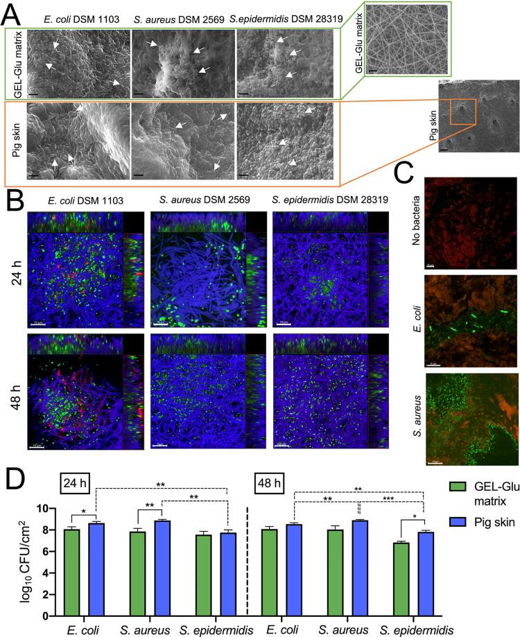 https://cdn.ncbi.nlm.nih.gov/pmc/blobs/2c46/9907351/7e41c220ea99/mp2c00902_0004.jpg