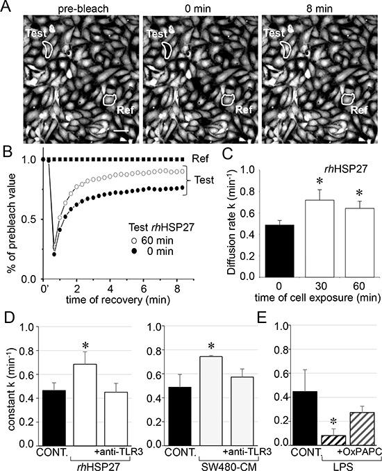 https://cdn.ncbi.nlm.nih.gov/pmc/blobs/2c47/4745693/a0791775bd82/oncotarget-06-28800-g002.jpg