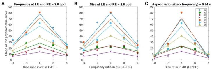 https://cdn.ncbi.nlm.nih.gov/pmc/blobs/2c48/7157571/39df4c7af946/vision-04-00020-g006.jpg