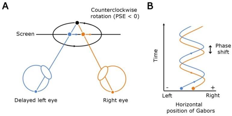 https://cdn.ncbi.nlm.nih.gov/pmc/blobs/2c48/7157571/ed52072a2750/vision-04-00020-g001.jpg