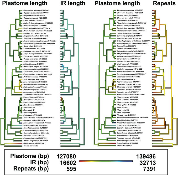 https://cdn.ncbi.nlm.nih.gov/pmc/blobs/2c48/7304433/27025d841d6e/peerj-08-9315-g005.jpg