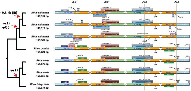 https://cdn.ncbi.nlm.nih.gov/pmc/blobs/2c48/7304433/e2a53bcefad4/peerj-08-9315-g006.jpg