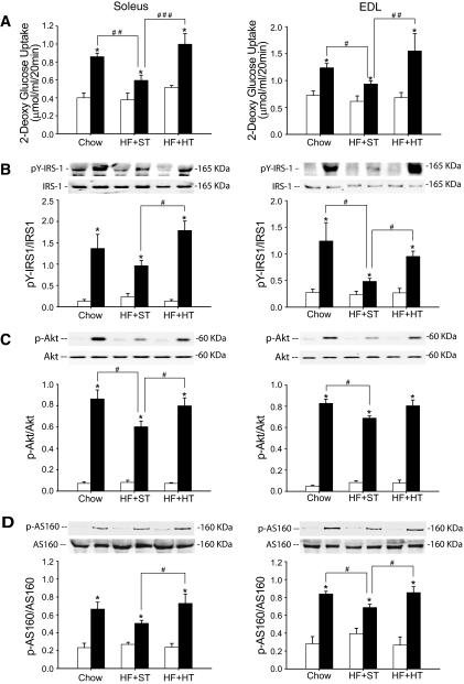 https://cdn.ncbi.nlm.nih.gov/pmc/blobs/2c4a/2646055/1ef23a5ee4b9/zdb0030956510002.jpg