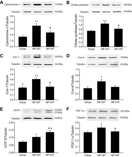 https://cdn.ncbi.nlm.nih.gov/pmc/blobs/2c4a/2646055/45124c9c77c9/zdb0030956510005.jpg