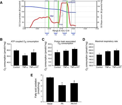 https://cdn.ncbi.nlm.nih.gov/pmc/blobs/2c4a/2646055/596c135f7556/zdb0030956510008.jpg