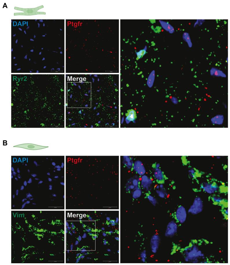 https://cdn.ncbi.nlm.nih.gov/pmc/blobs/2c4b/10531061/a5c549d814f1/ijms-24-13826-g003.jpg