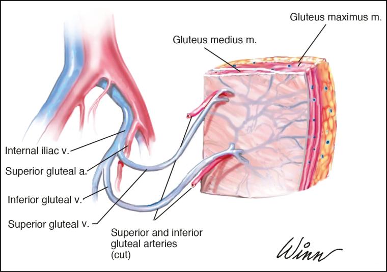 https://cdn.ncbi.nlm.nih.gov/pmc/blobs/2c4b/5846701/9d30cf2ba028/sjx00406.jpg