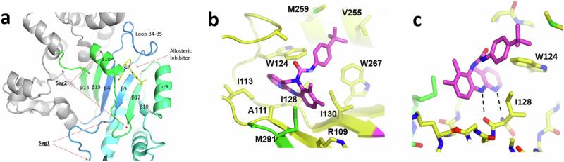 https://cdn.ncbi.nlm.nih.gov/pmc/blobs/2c4c/11385386/1aafdfedbcd8/41467_2024_51692_Fig5_HTML.jpg