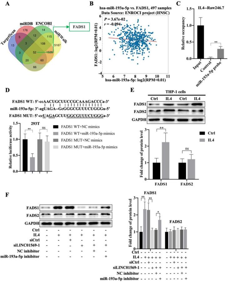 https://cdn.ncbi.nlm.nih.gov/pmc/blobs/2c4e/10266250/508b8a1ad196/jcav14p1673g005.jpg