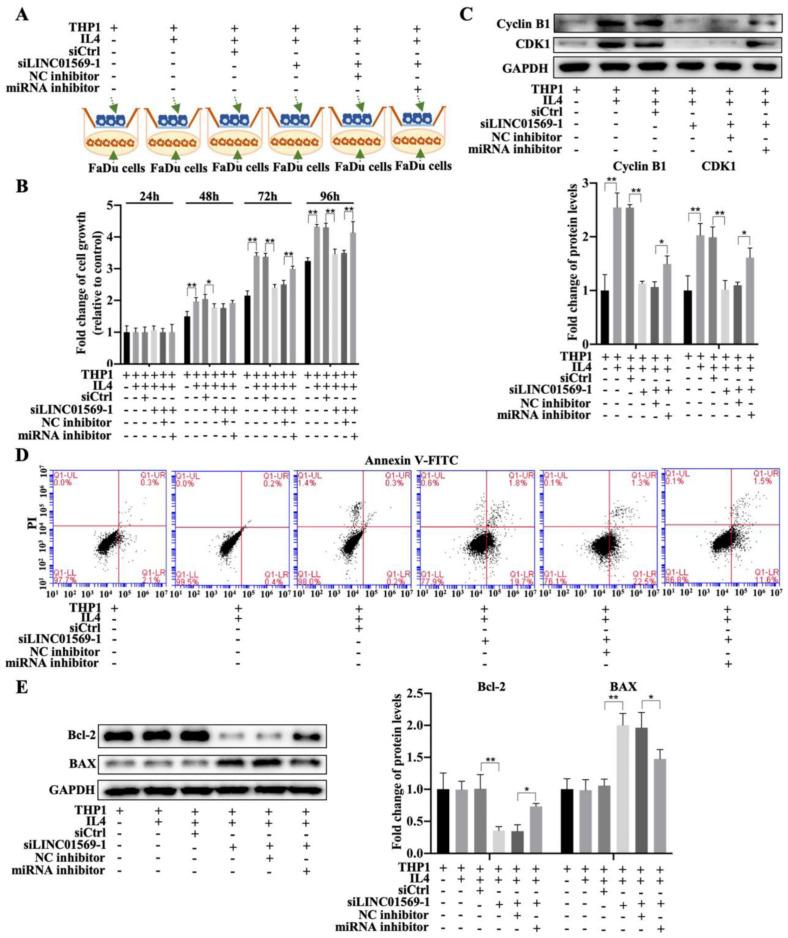 https://cdn.ncbi.nlm.nih.gov/pmc/blobs/2c4e/10266250/9b9b0d0591af/jcav14p1673g008.jpg