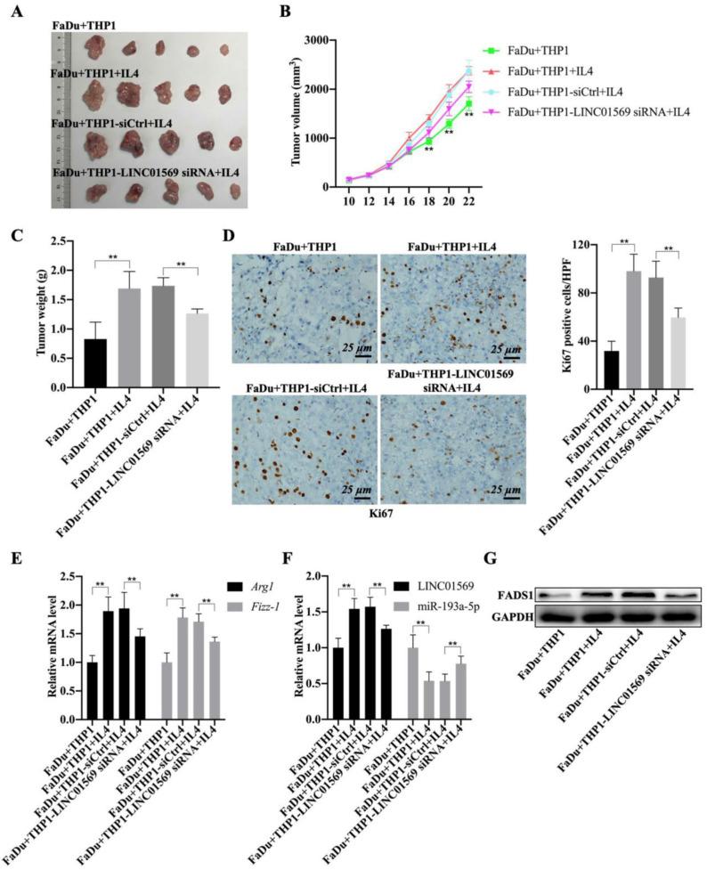 https://cdn.ncbi.nlm.nih.gov/pmc/blobs/2c4e/10266250/9eb01e918643/jcav14p1673g007.jpg