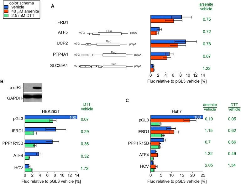 https://cdn.ncbi.nlm.nih.gov/pmc/blobs/2c4f/4383229/2895e11a0812/elife03971fs007.jpg