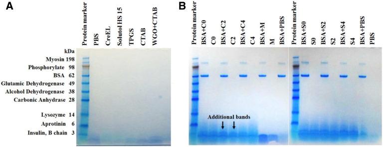 https://cdn.ncbi.nlm.nih.gov/pmc/blobs/2c4f/7610209/57f7e14f2479/gr2.jpg