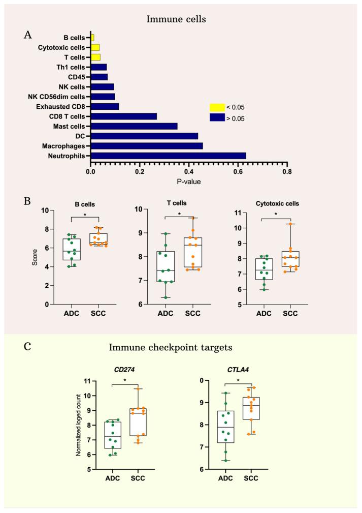 https://cdn.ncbi.nlm.nih.gov/pmc/blobs/2c50/11172577/3ebd6723294a/ijms-25-06205-g002.jpg