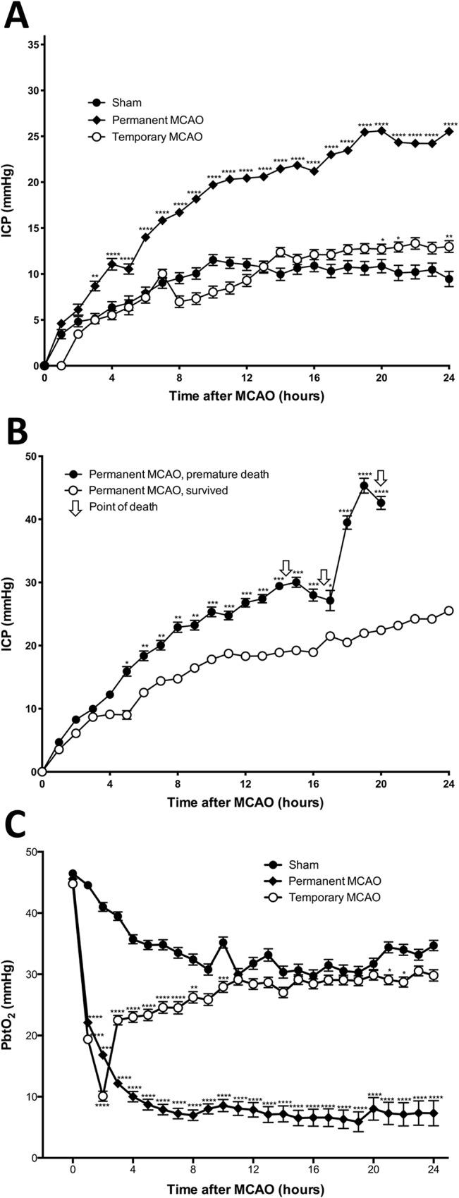 https://cdn.ncbi.nlm.nih.gov/pmc/blobs/2c50/4486455/5ef18668f882/pone.0130512.g001.jpg