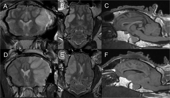 https://cdn.ncbi.nlm.nih.gov/pmc/blobs/2c50/4486455/7dbd0eb30357/pone.0130512.g003.jpg