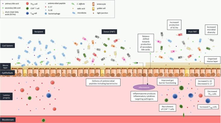 https://cdn.ncbi.nlm.nih.gov/pmc/blobs/2c50/7841662/b149122a8528/10.1177_2049936120981526-fig1.jpg