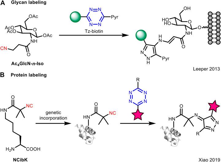 https://cdn.ncbi.nlm.nih.gov/pmc/blobs/2c50/8117350/4c41c393bacf/fchem-09-670751-g003.jpg