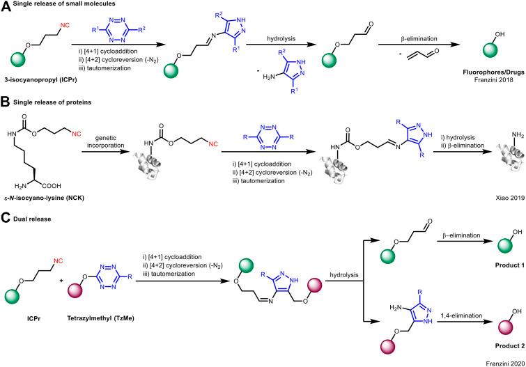 https://cdn.ncbi.nlm.nih.gov/pmc/blobs/2c50/8117350/c1c4d4d08c3e/fchem-09-670751-g004.jpg