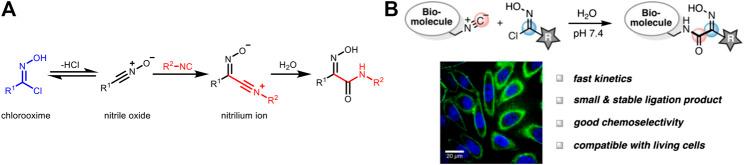 https://cdn.ncbi.nlm.nih.gov/pmc/blobs/2c50/8117350/d48c00e9960d/fchem-09-670751-g005.jpg