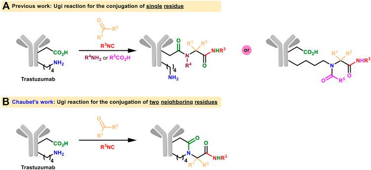 https://cdn.ncbi.nlm.nih.gov/pmc/blobs/2c50/8117350/f0daa0b61850/fchem-09-670751-g007.jpg