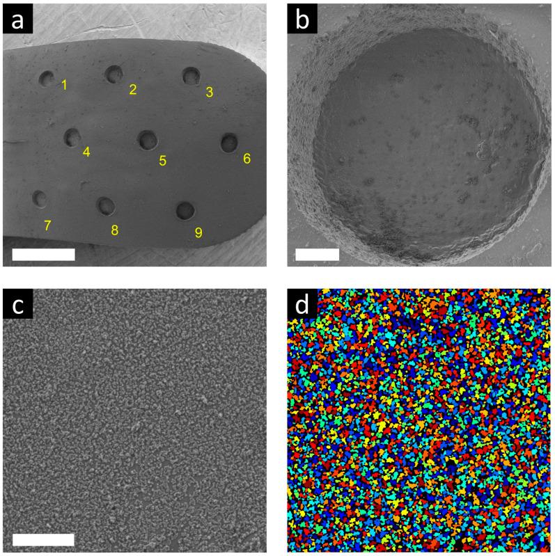 https://cdn.ncbi.nlm.nih.gov/pmc/blobs/2c51/11680031/3ce2946b4a7a/sensors-24-07987-g006.jpg