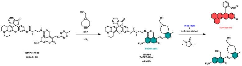 https://cdn.ncbi.nlm.nih.gov/pmc/blobs/2c51/11680031/7a080cf33022/sensors-24-07987-g003.jpg
