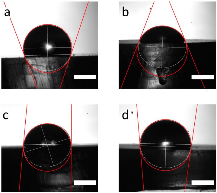 https://cdn.ncbi.nlm.nih.gov/pmc/blobs/2c51/11680031/9d24a0295df1/sensors-24-07987-g004.jpg