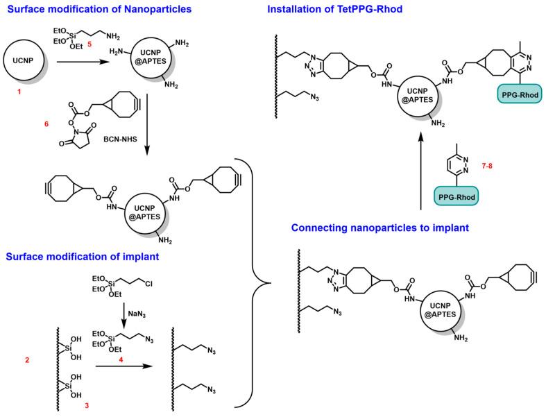 https://cdn.ncbi.nlm.nih.gov/pmc/blobs/2c51/11680031/be9bd5eaec18/sensors-24-07987-g001.jpg