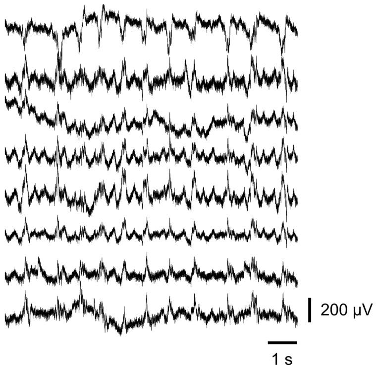 https://cdn.ncbi.nlm.nih.gov/pmc/blobs/2c51/11680031/cdaa75755854/sensors-24-07987-g010.jpg