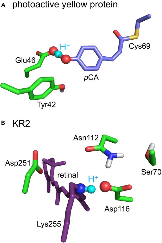 https://cdn.ncbi.nlm.nih.gov/pmc/blobs/2c51/9062252/19f0b66ed0ac/gr3.jpg