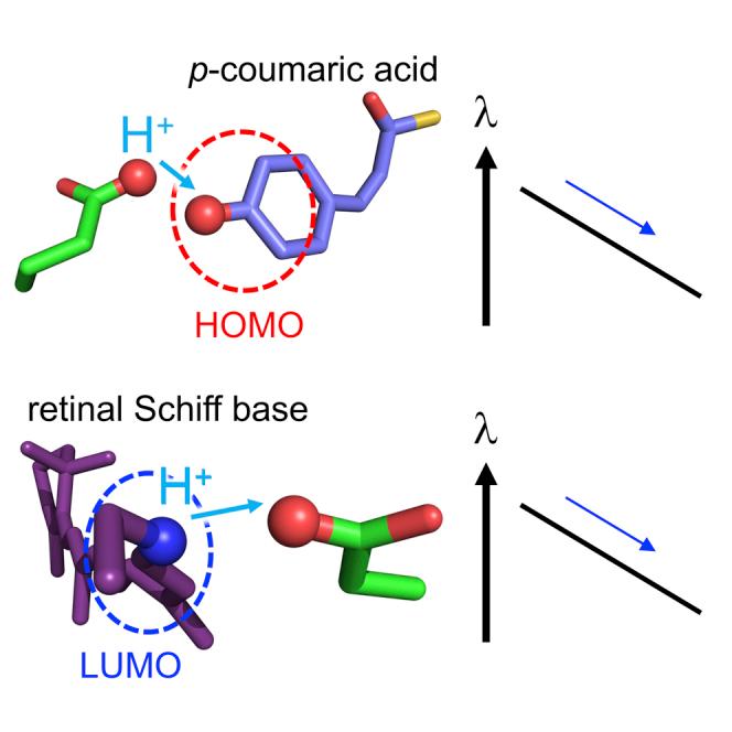 https://cdn.ncbi.nlm.nih.gov/pmc/blobs/2c51/9062252/585f0d379bf2/fx1.jpg